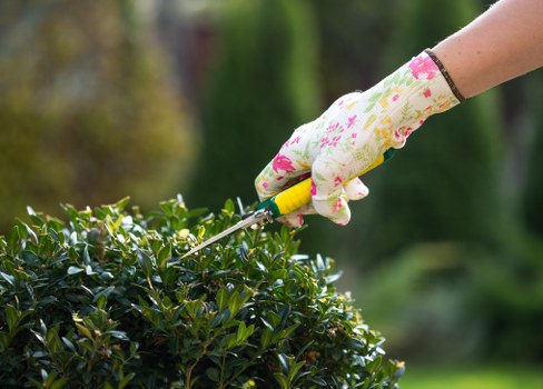 Landscape gardening in Aperfield with a well-designed garden layout