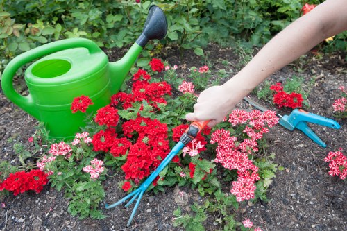 Seasonal garden maintenance work in Aperfield including hedge and lawn care