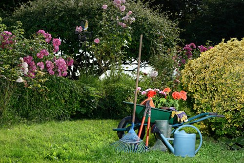 Autumn garden maintenance in Aperfield with leaf clearance and pruning
