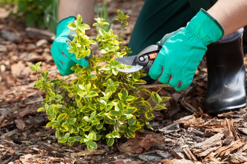 Seasonal lawn care in Aperfield showing soil and turf treatment