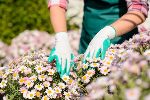 Team member following safe gardening procedures outdoors