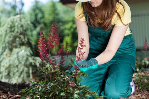 Large garden clearance job priced by load in a busy local area