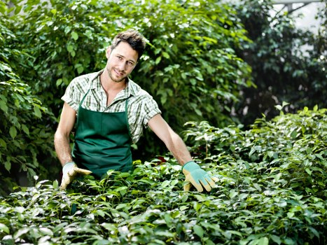 Liability and cancellation terms for gardening work