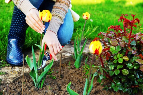Free quote planning for garden maintenance and waste removal