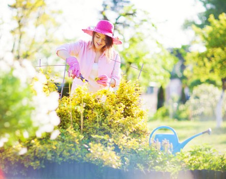 Spring garden upkeep in Aperfield with fresh planting and tidy beds