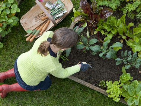 Supplier audit and due diligence for Gardeners Aperfield