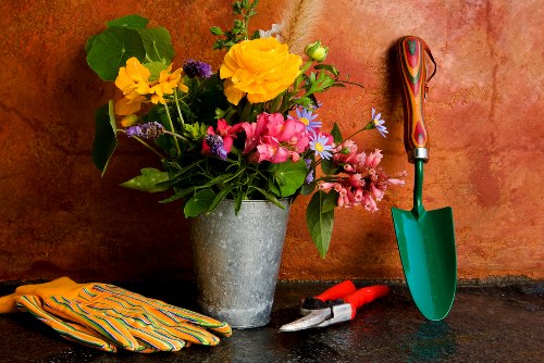 Modern slavery prevention in a garden services supply chain