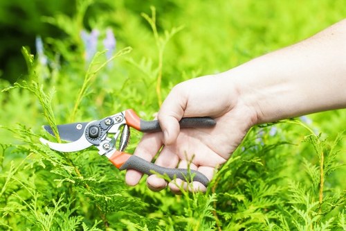 Professional gardeners in Aperfield following safety procedures