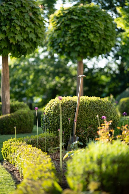 A well-maintained garden scene featuring a neatly trimmed hedge in the foreground, with a garden fork leaning against it. Surrounding the hedge, there are flowering plants with purple blooms and slend