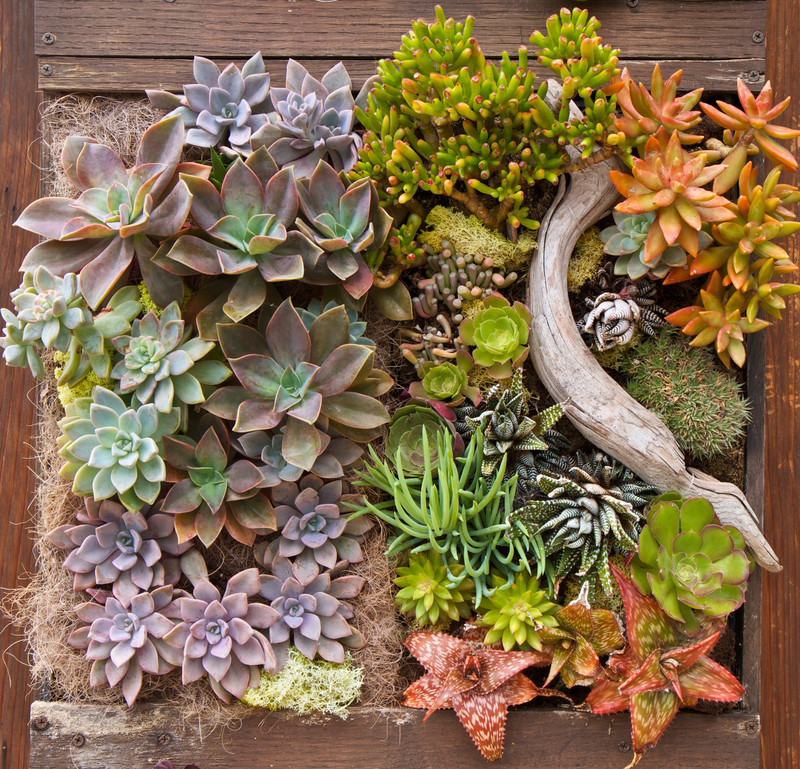 garden home